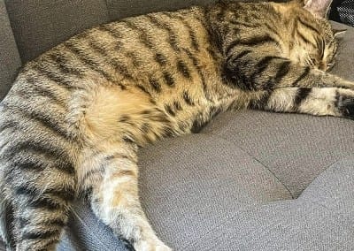 Martin-Boyd Christian Home