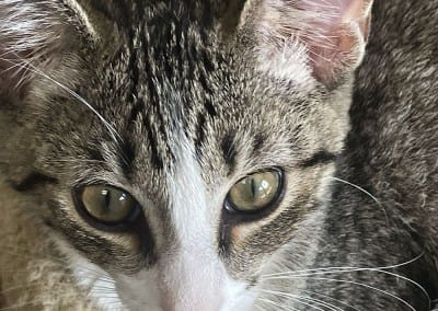 Martin-Boyd Christian Home