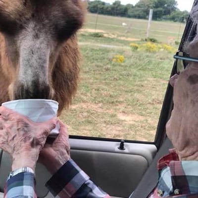 Sugar Creek Retirement Center