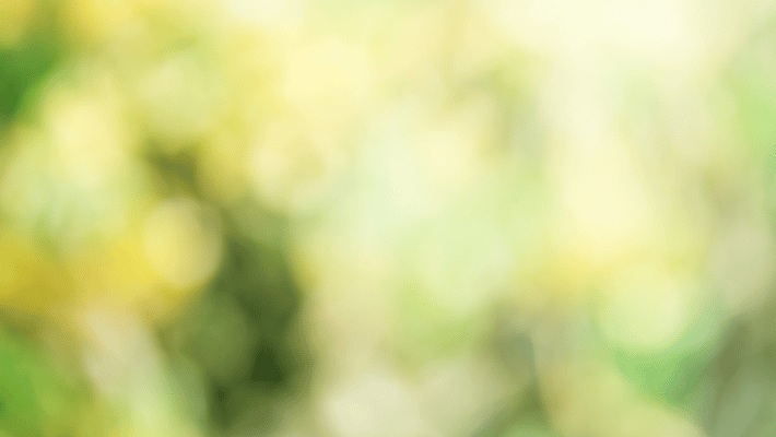 Dyer Nursing and Rehabilitation Center