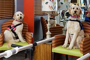 Grandview Post Acute