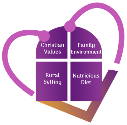 Rural Life Foundation dba Harbert Hills Academy Nursing Home