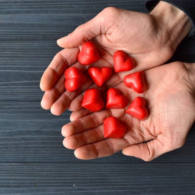 Sodalis Elder Living Stone Oak Assisted Living, LLC