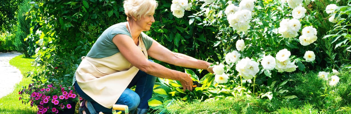 Spring Creek Village Assisted Living and Memory Care