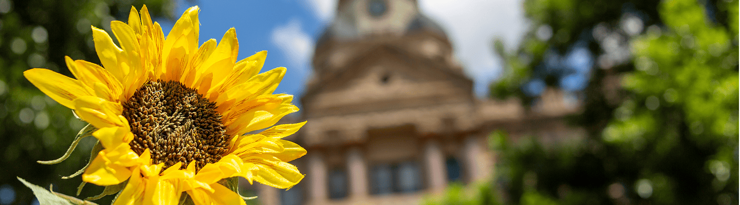 Village on the Park Denton