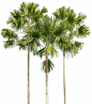 John Knox Village Personal Care