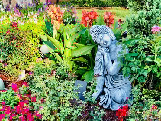 Serenity Assisted Care Living