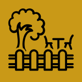 Riverstone Memory Center