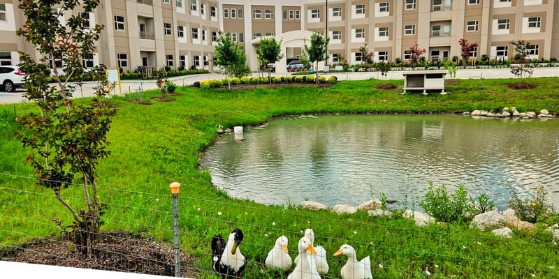 Everspring Assisted Living