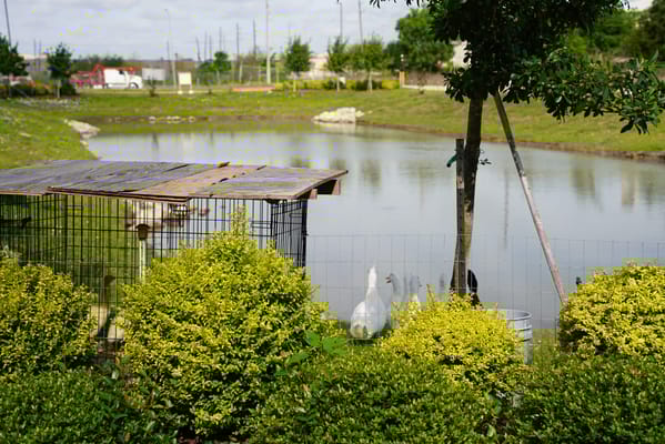 Everspring Assisted Living