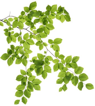 All Seasons Senior Living of Cedar City