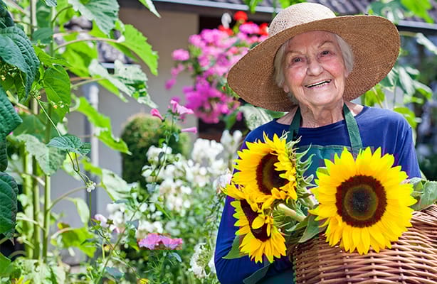 All Seasons Senior Living of Cedar City