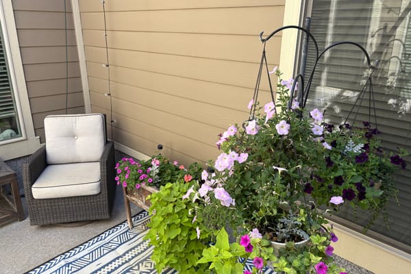 Blacksmith Fork Assisted Living