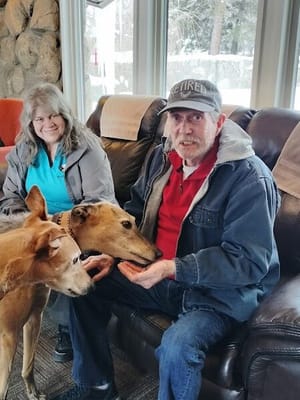 Residents interacting with dogs in a common area