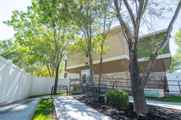 Outdoor seating area with trees and pathways
