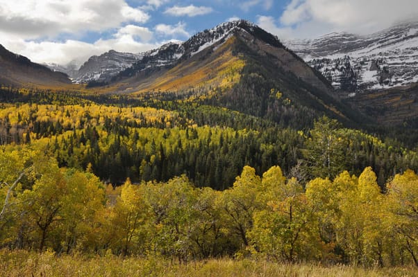 Rocky Mountain Care – Maple Dell