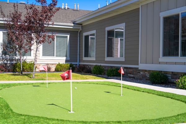 Outdoor putting green with flags in a landscaped area
