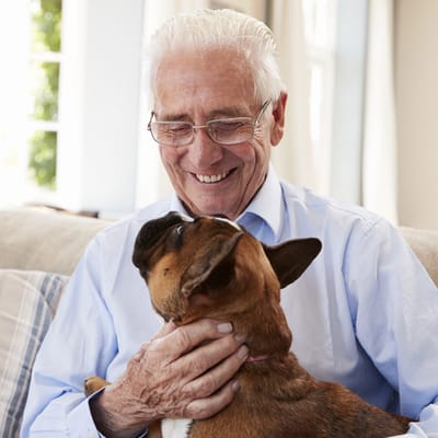 Senior man smiling with a dog in a cozy living room