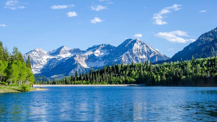 The Ashford of Springville