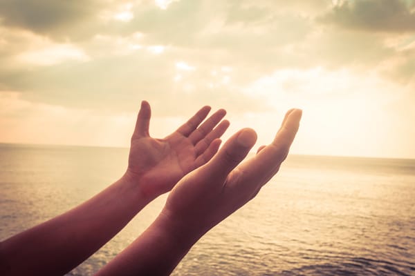 Wasatch Recovery Treatment Center LLC (RR)