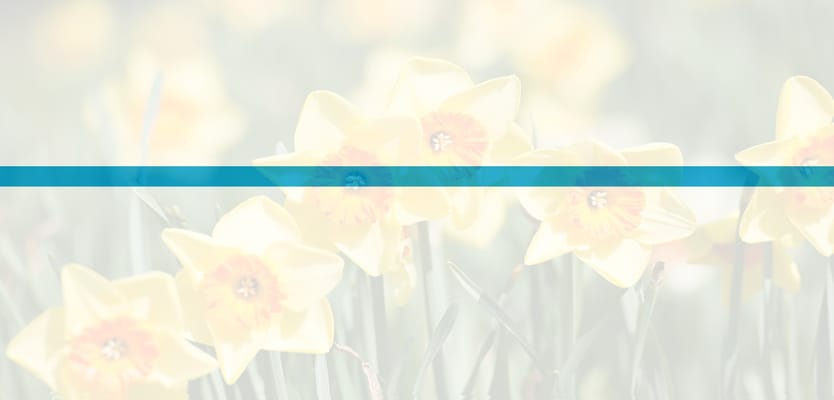 Culpepper Garden III, INC