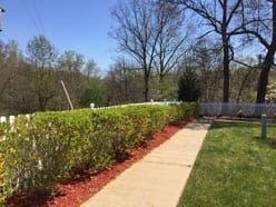 Marian Manor of Stafford