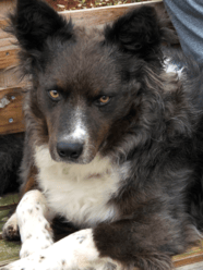 Marian Manor of Stafford