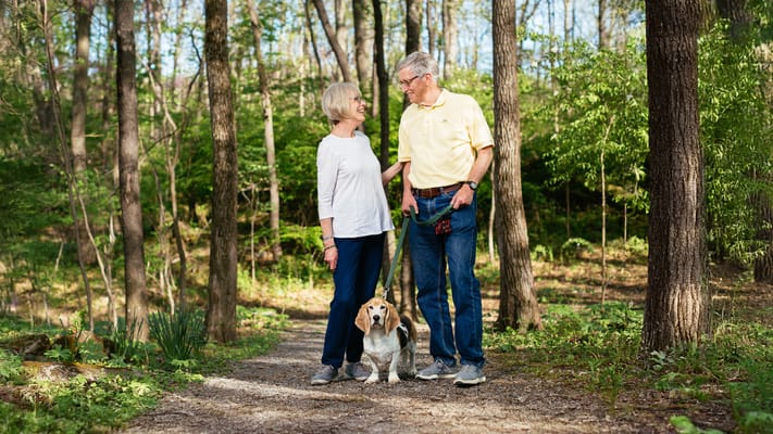 Seniors walking a dog on a forest path