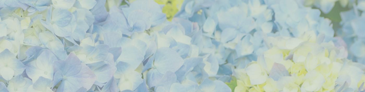 Chesterbrook Residences