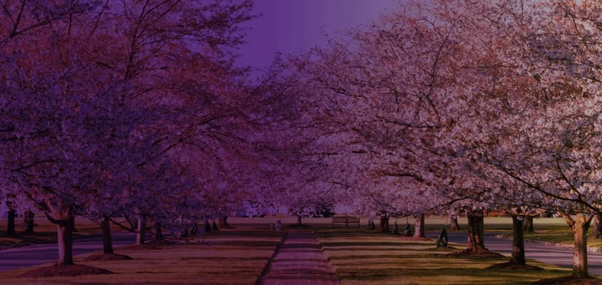 Shalom Gardens Senior Living