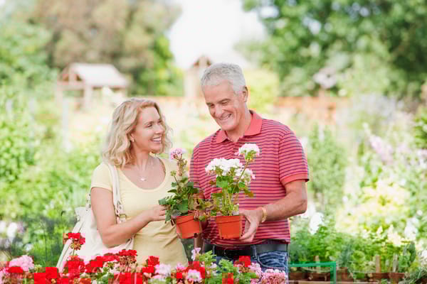 Couple enjoying gardening in a flower-filled area