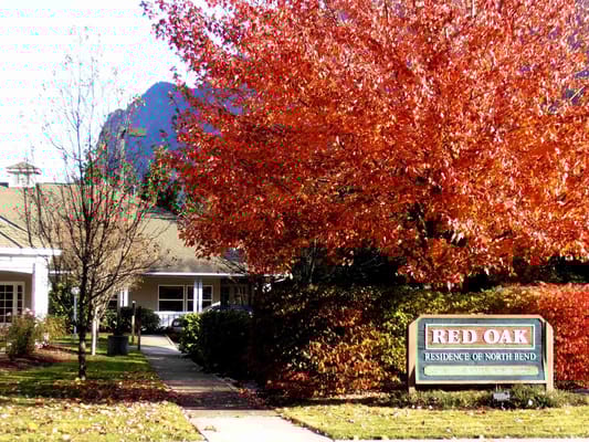 Exterior view of Red Oak Residence with fall foliage