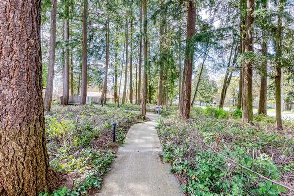 A scenic walking path through trees in a garden area