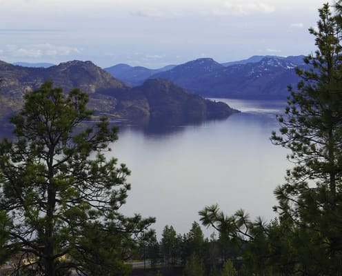 Apple Springs Retirement and Assisted Living Residence