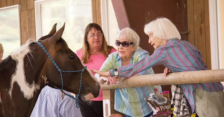 St Andrews Place Assisted Living