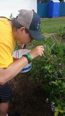 Cahoots Adult Day Service LLC