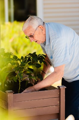 An elderly man gardening in an outdoor space