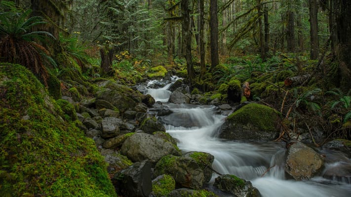 Chuckanut Ridge Assisted Living