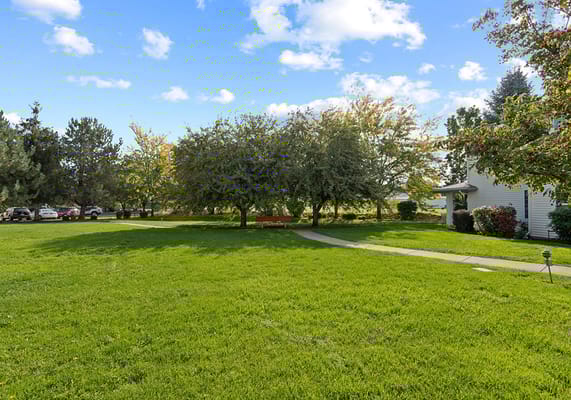 Well-maintained outdoor space with trees and paths