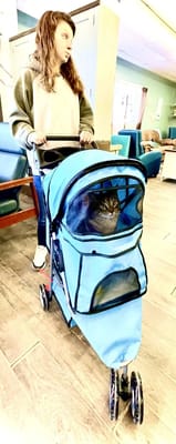 Ladysmith Adult Day Services