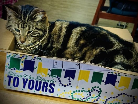 Ladysmith Adult Day Services