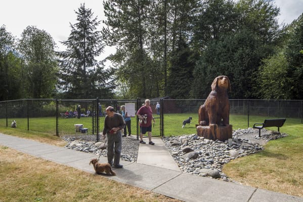 Residents enjoying the outdoor dog park with a wooden dog statue