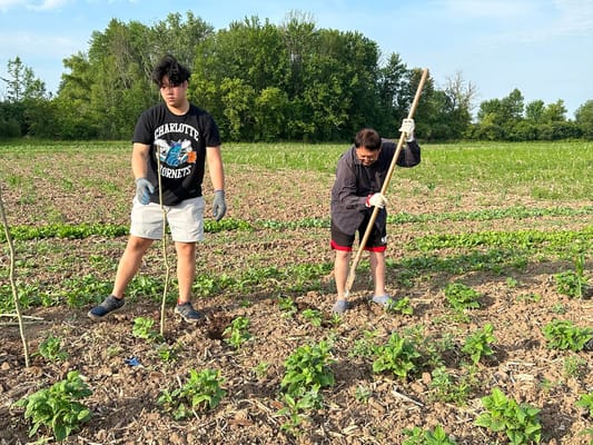 Long Cheng Senior Center
