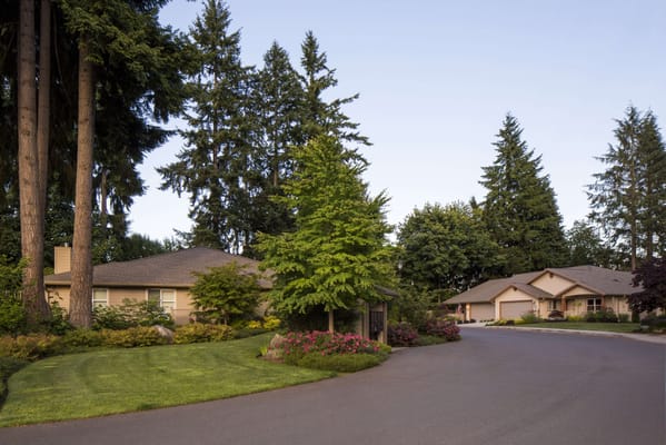 Well-maintained outdoor space with trees and landscaped gardens