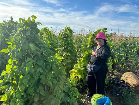 Long Cheng Senior Center