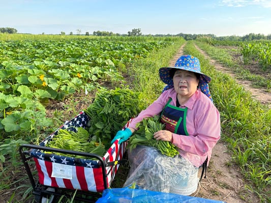 Long Cheng Senior Center