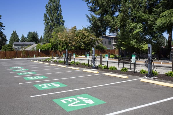 Parking area with electric vehicle charging stations