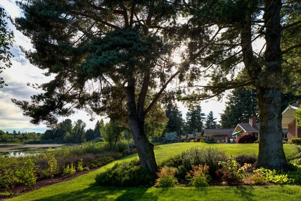 Beautiful outdoor space with trees and landscaping