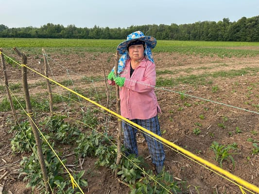 Long Cheng Senior Center