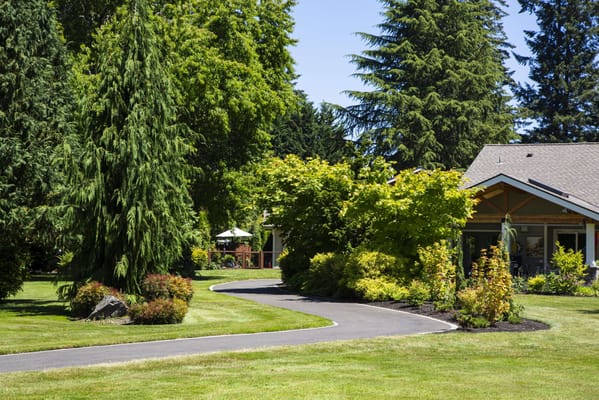 A landscaped pathway through a garden area